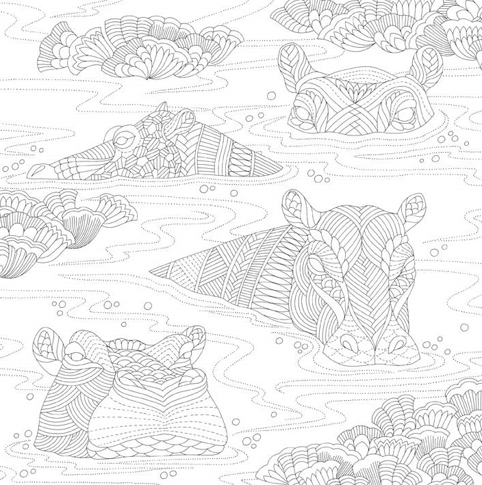 Wildlife Wonders - ilustrace hroši